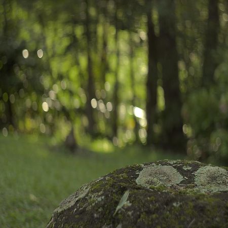 Limpinwood Lodge Bagian luar foto